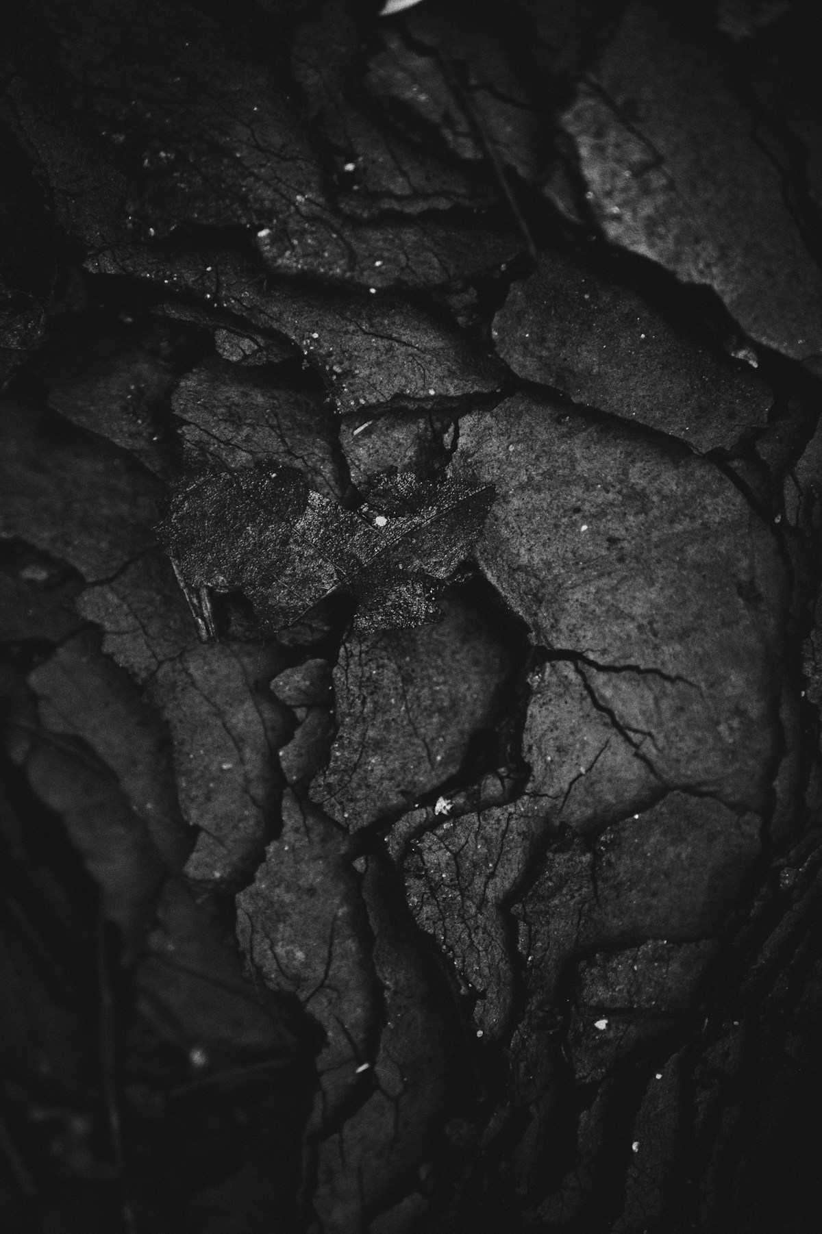 Iron Ore ore